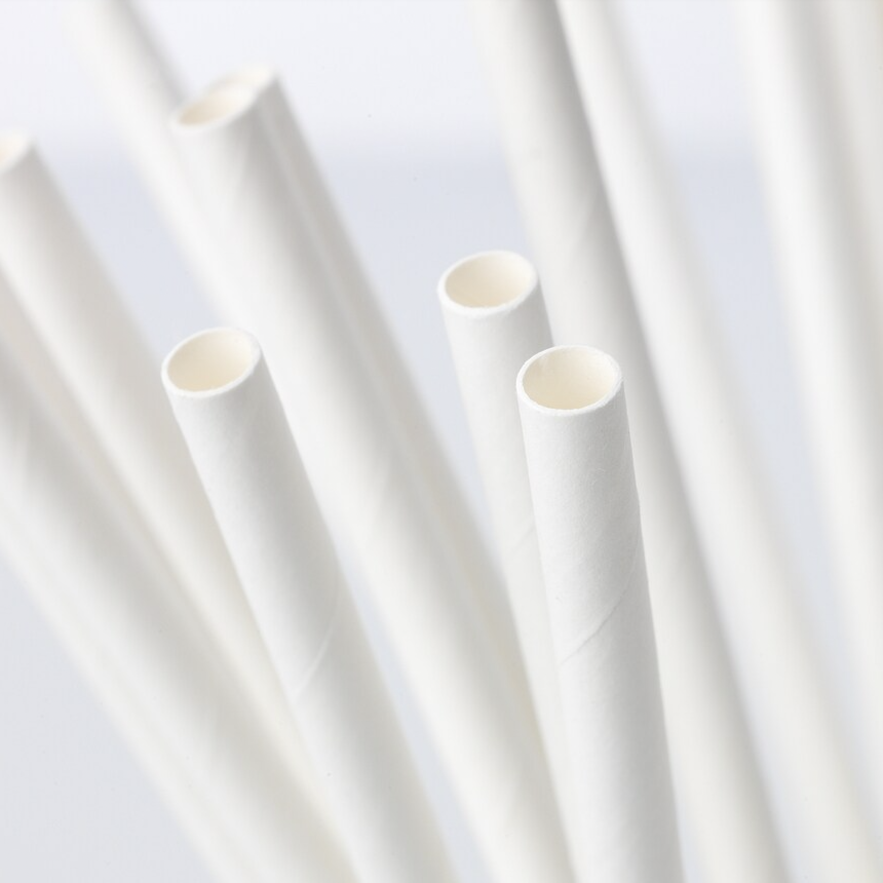 papieren-rietje-wit-230x8mm