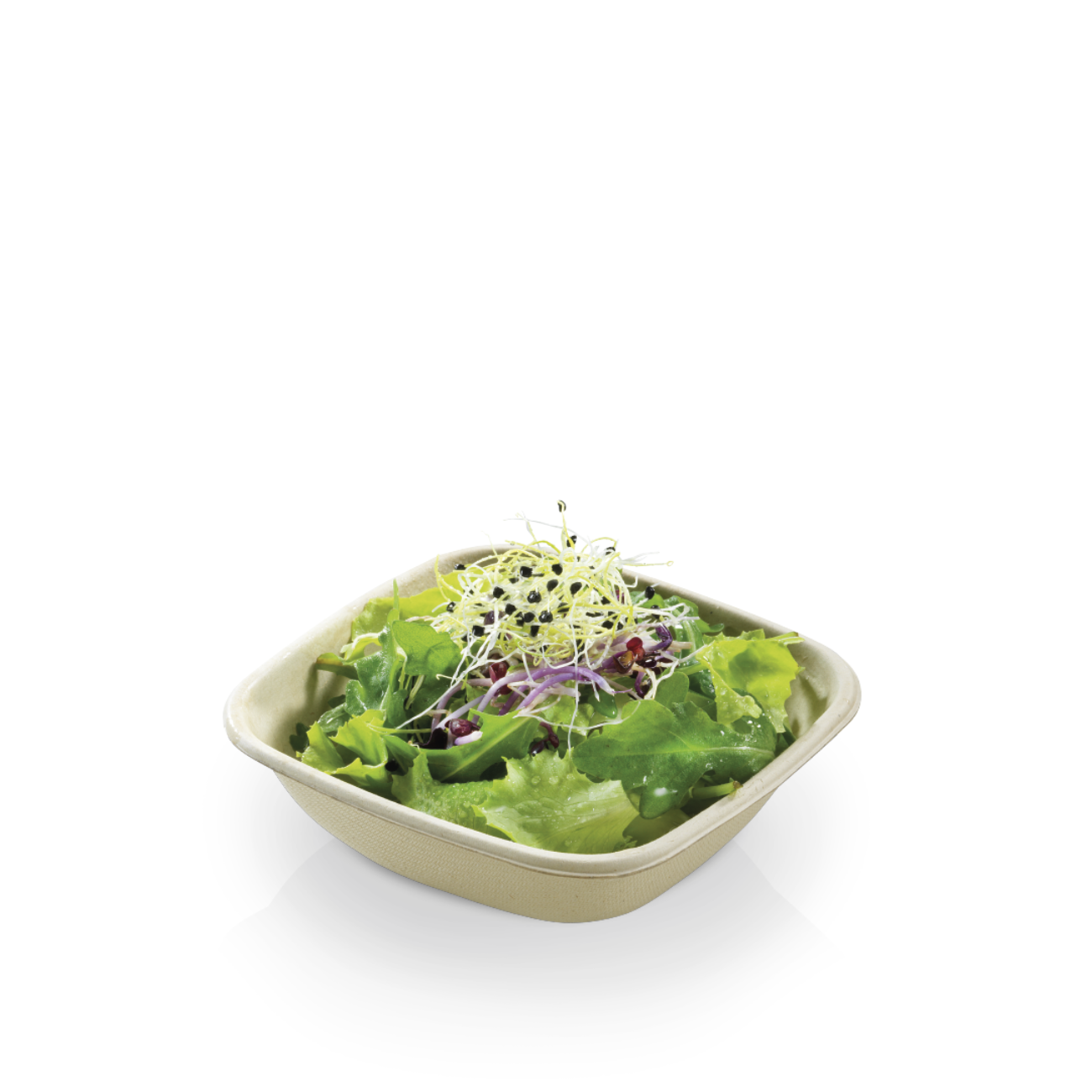 suikerriet salade bakje 400ml